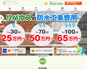 リバウス公式HPキャプチャ